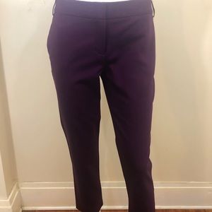 Express Editor Pants